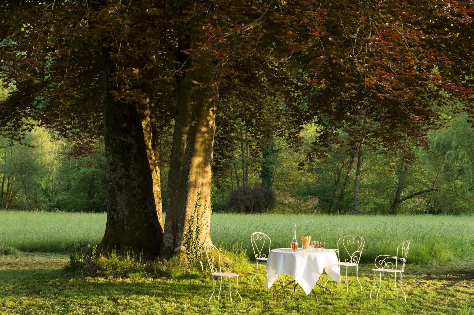 Bed and Breakfast Chateau De Martigny Colmey Zewnętrze zdjęcie