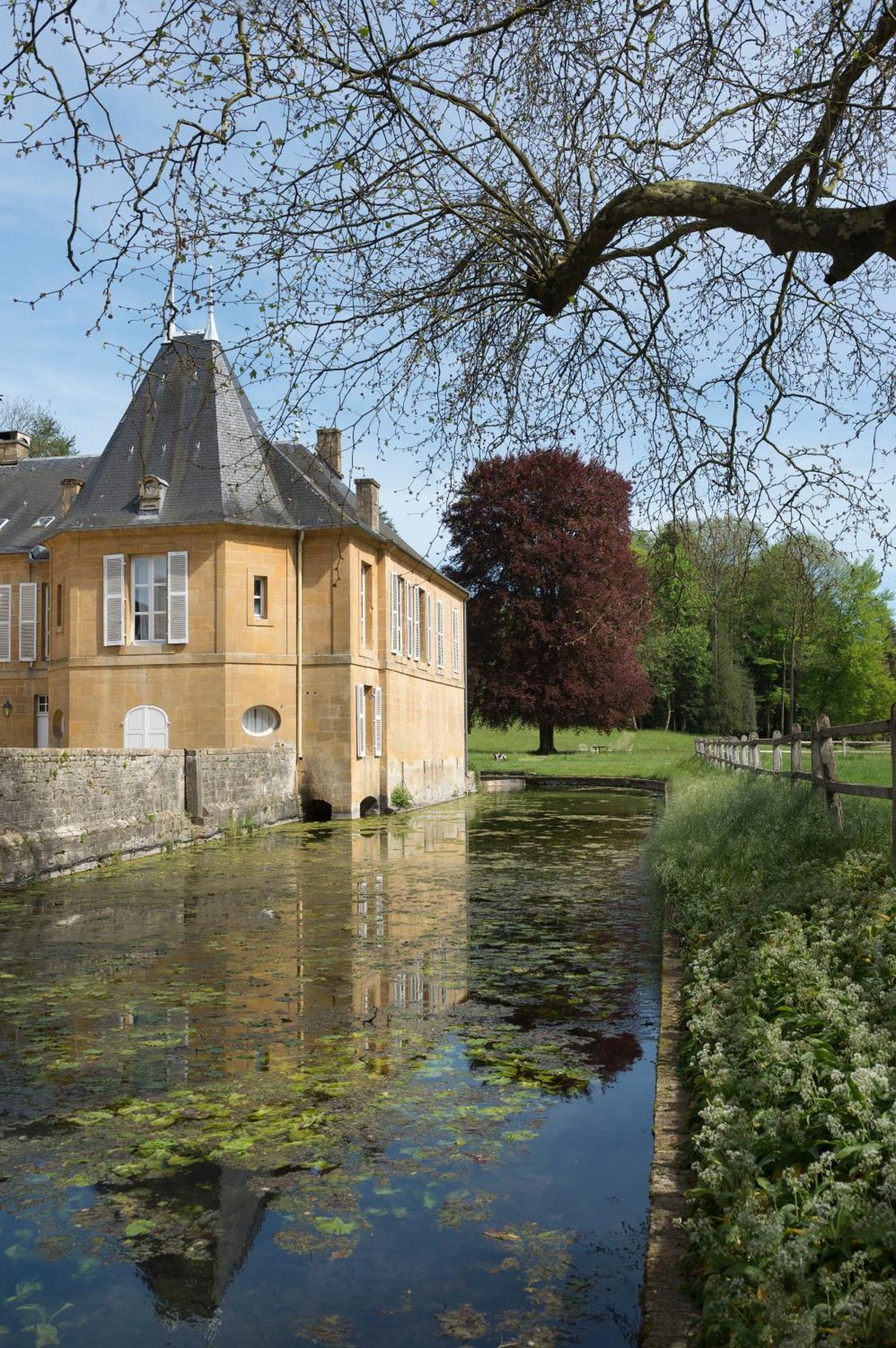 Chateau De Martigny Colmey Zewnętrze zdjęcie